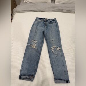 Aritzia Denim Forum Blue Distressed Women Jeans
